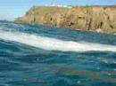 Basking Shark Video Lands End